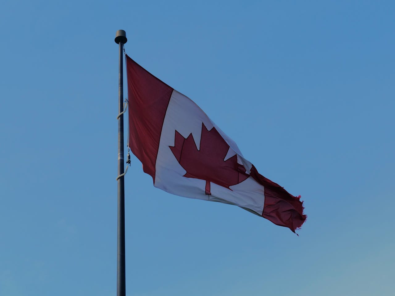 circuit-canada