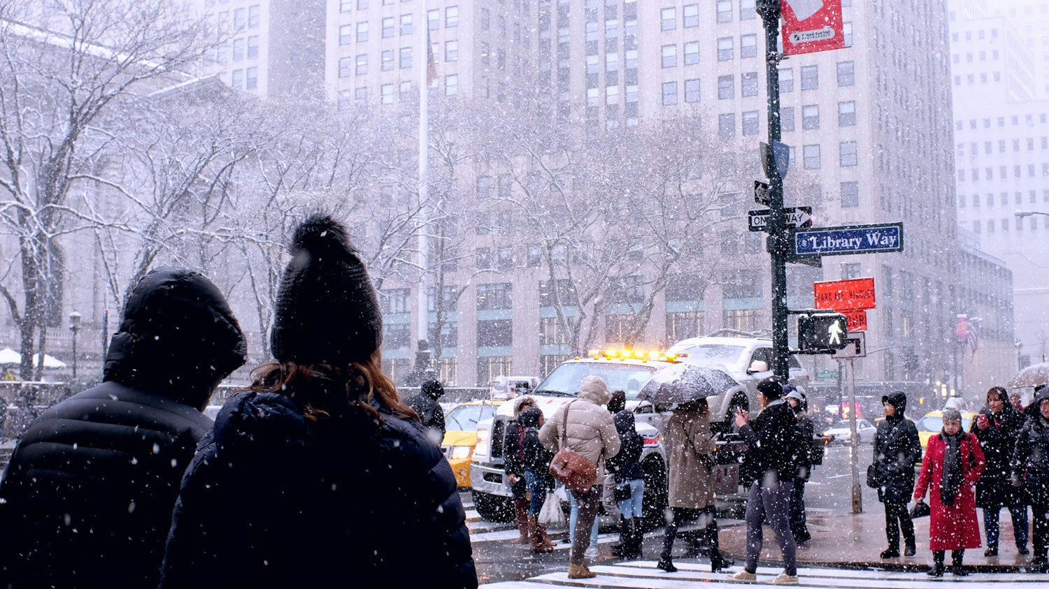 new-york-noel
